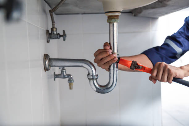 Best Toilet Repair Services  in Sterling Heights, MI