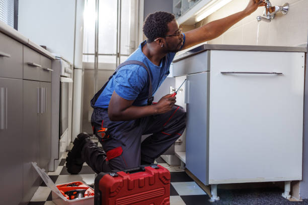 Best Shower Repair Services  in Sterling Heights, MI